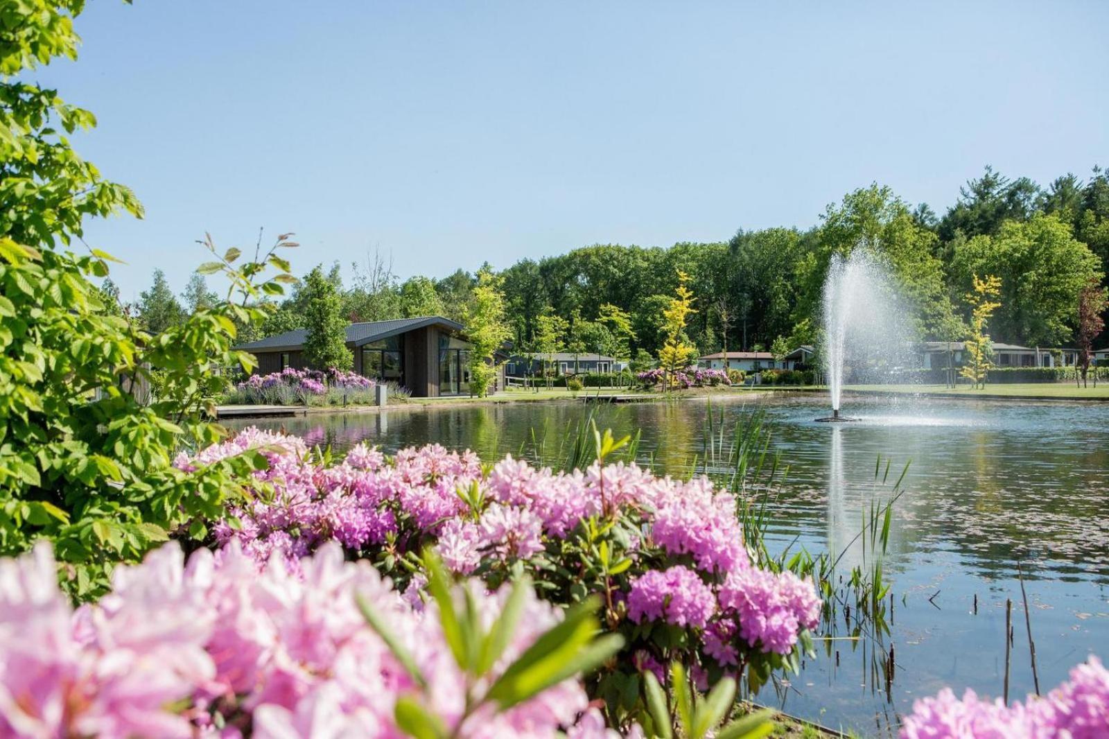 Vakantiepark Molenvelden فيلتهوفين المظهر الخارجي الصورة